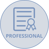 PROFESSIONAL